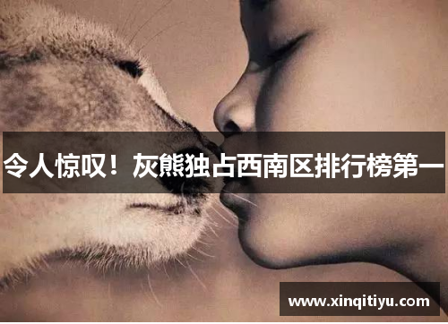令人惊叹！灰熊独占西南区排行榜第一