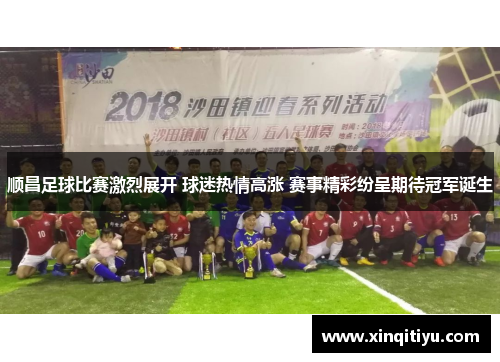 顺昌足球比赛激烈展开 球迷热情高涨 赛事精彩纷呈期待冠军诞生