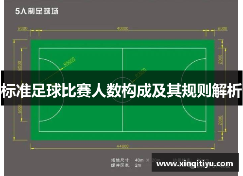 标准足球比赛人数构成及其规则解析