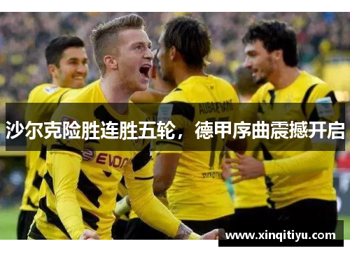 沙尔克险胜连胜五轮，德甲序曲震撼开启