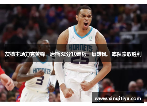 灰狼主场力克黄蜂，唐斯32分10篮板一展雄风，率队豪取胜利