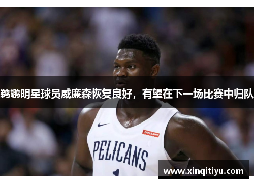 鹈鹕明星球员威廉森恢复良好，有望在下一场比赛中归队